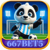 Logo da 667BET5